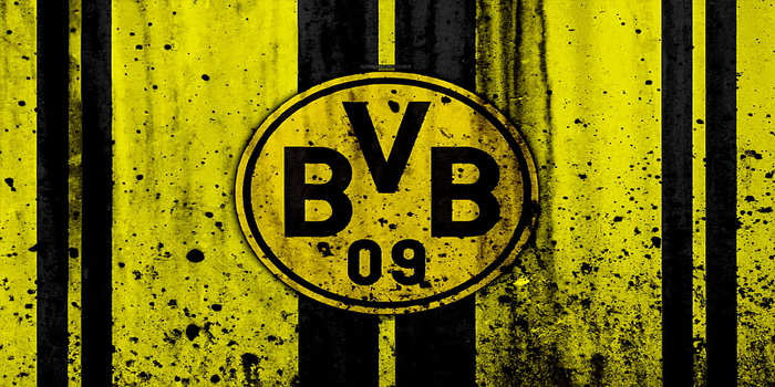 Borussia Dortmund vs Freiburg - Pekan ke-11 Bundesliga, 23 November 2024